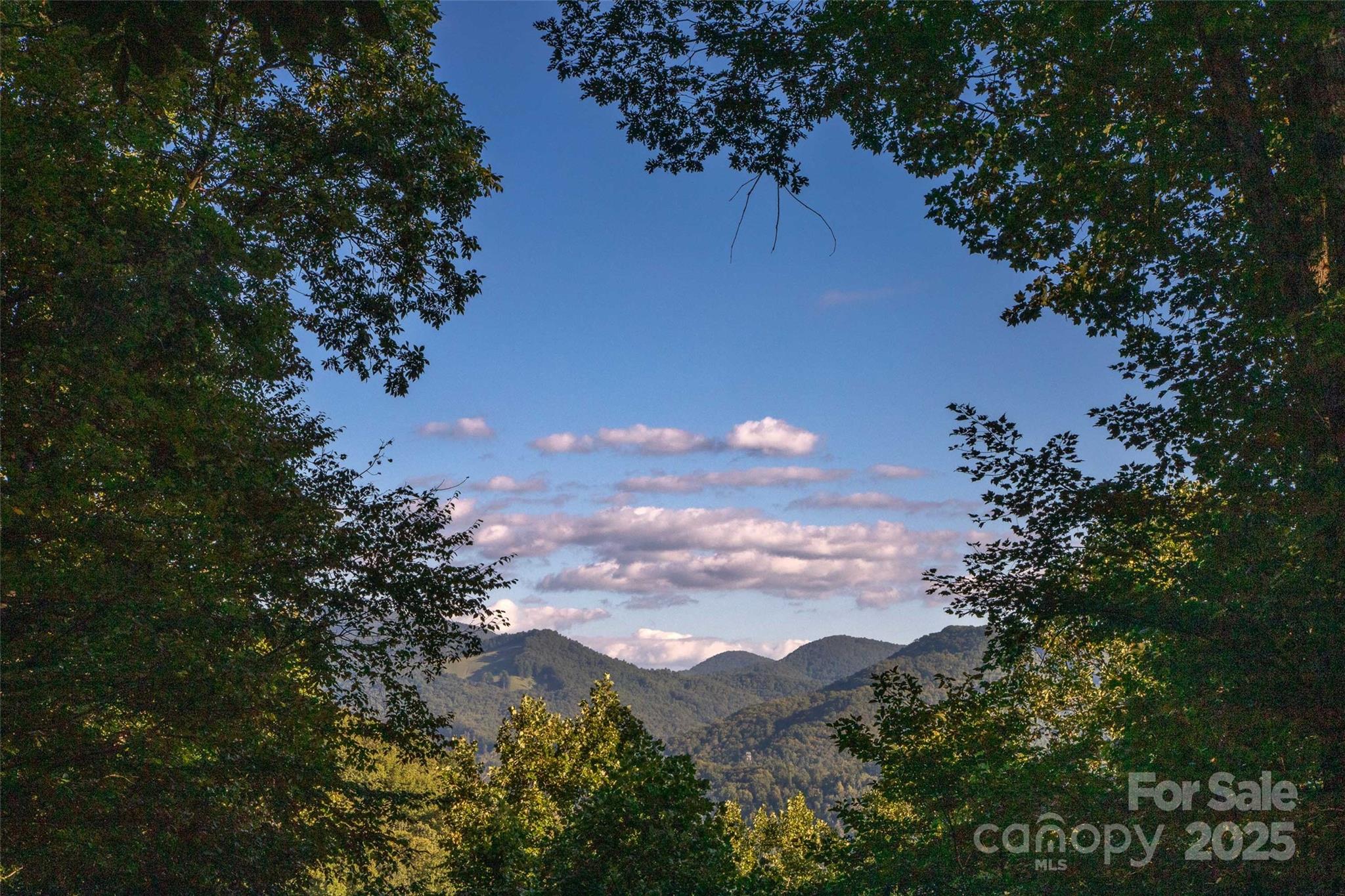 522 Sawmill Hollow Sylva, NC 28779 - Photo 23 of 48