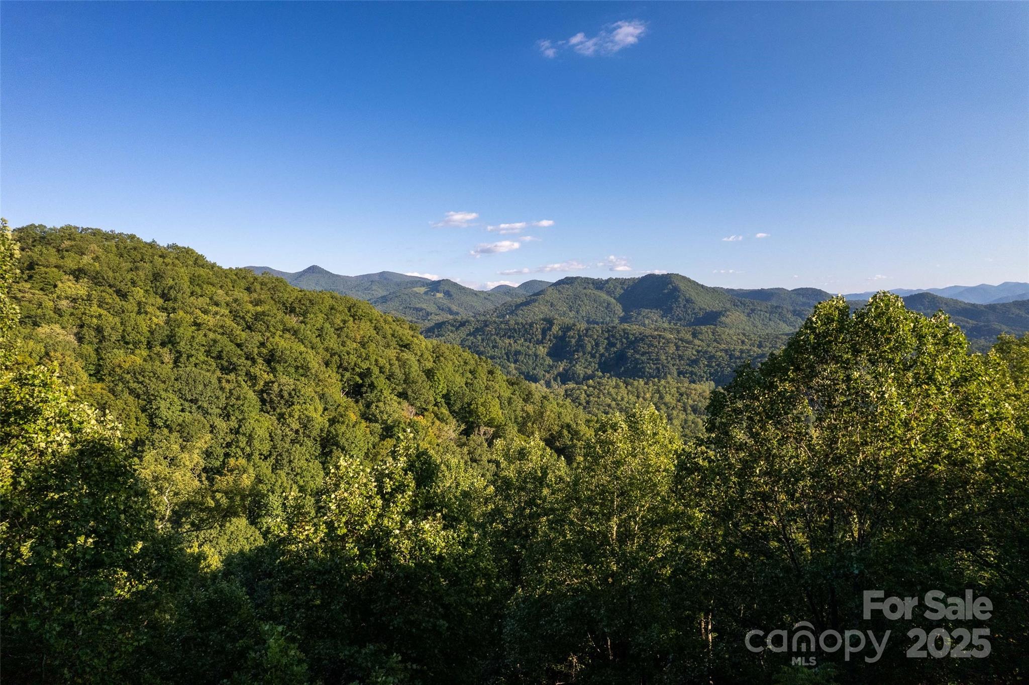 522 Sawmill Hollow Sylva, NC 28779 - Photo 24 of 48
