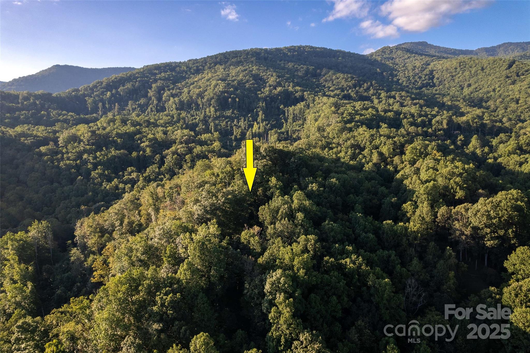 522 Sawmill Hollow Sylva, NC 28779 - Photo 26 of 48