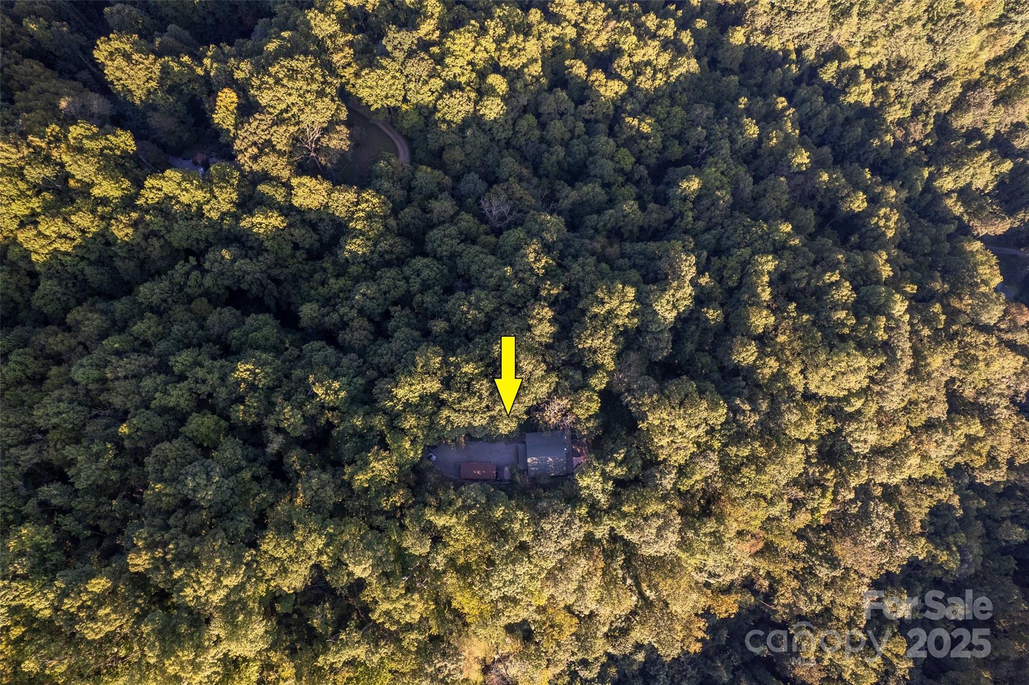 522 Sawmill Hollow Sylva, NC 28779 - Photo 27 of 48