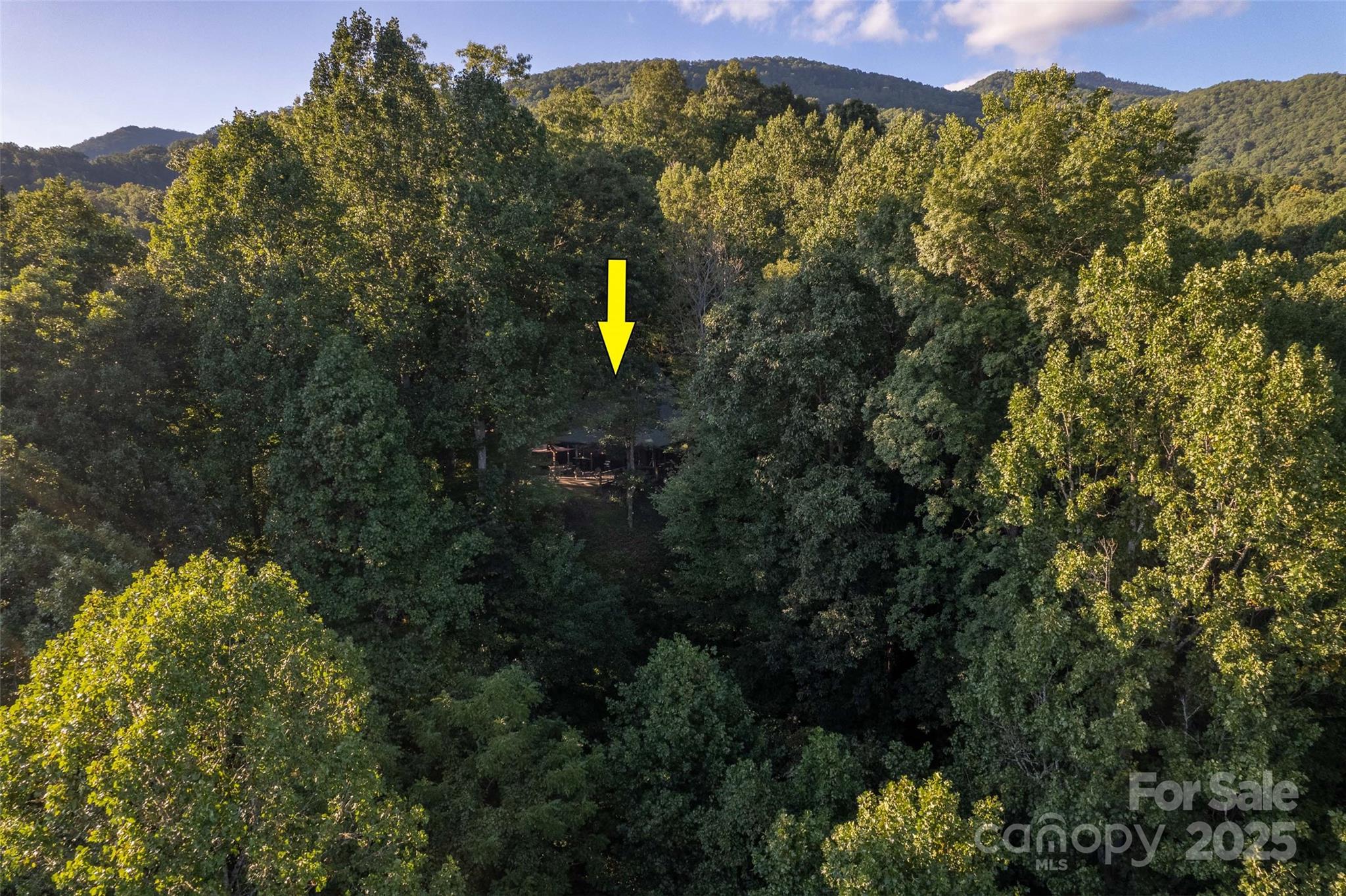 522 Sawmill Hollow Sylva, NC 28779 - Photo 29 of 48