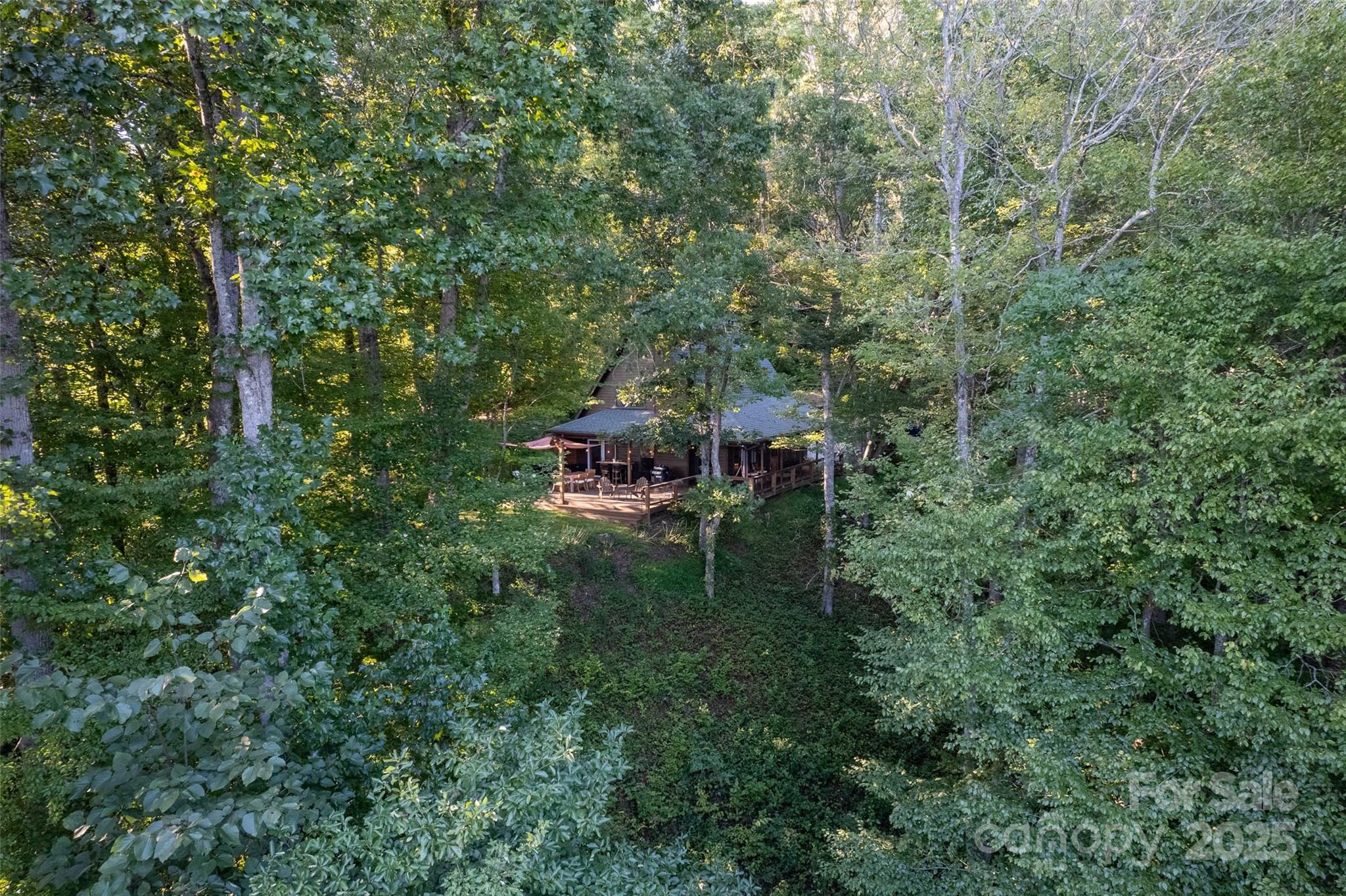 522 Sawmill Hollow Sylva, NC 28779 - Photo 30 of 48