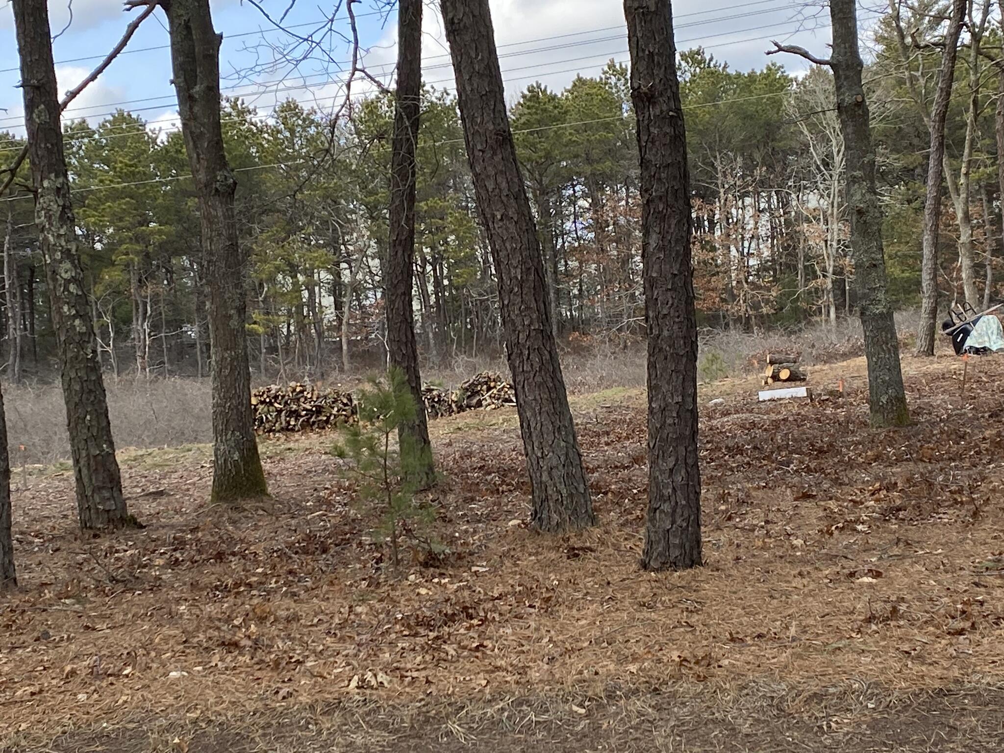 82 Old Mill Road Mashpee, MA 02649 - Photo 3 of 6 CDB13E40-A599-495E-8B79-D270BF8B082F