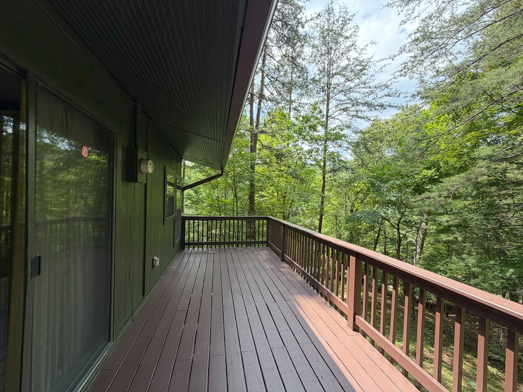 1253 Tipton Springs Road Morganton, GA 30560 - Photo 27 of 48