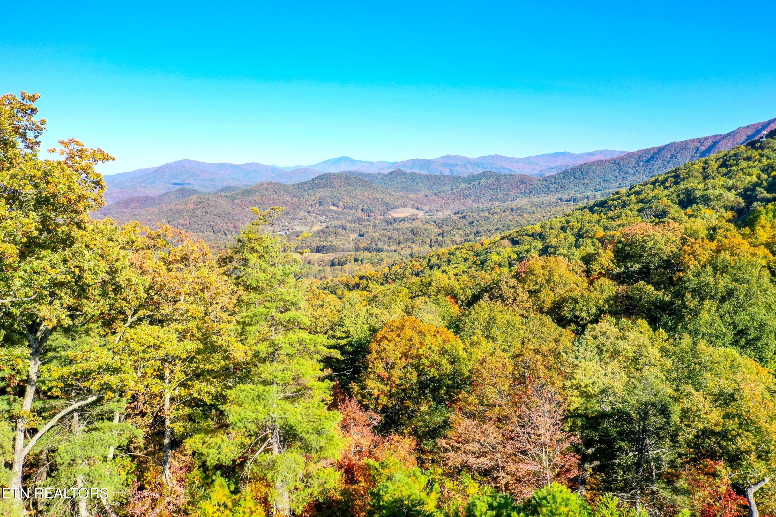 Camp Townsend Road Townsend, TN 37882 - Photo 11 of 25 DSC_8918-13
