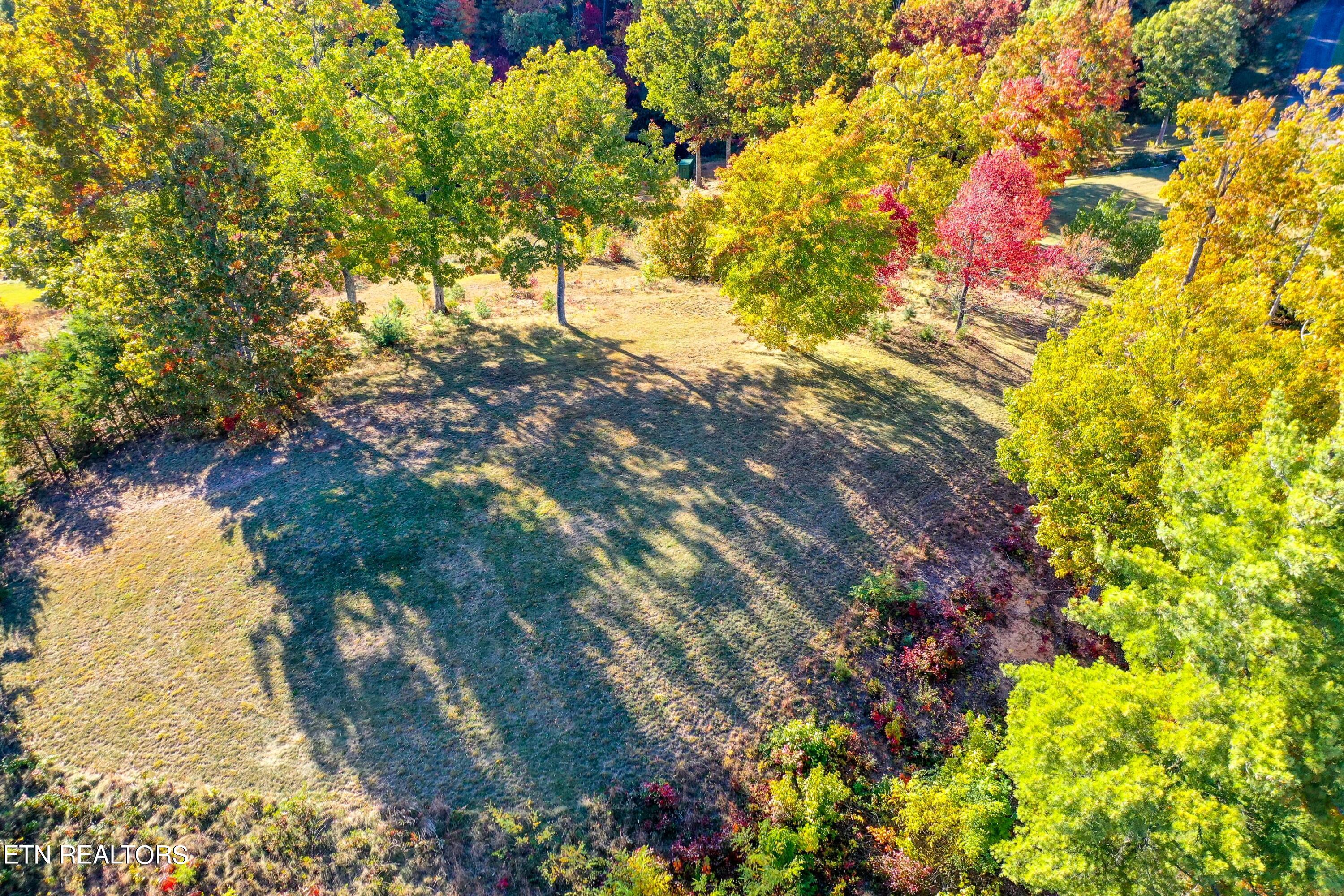 Camp Townsend Road Townsend, TN 37882 - Photo 2 of 25 DSC_8918-12