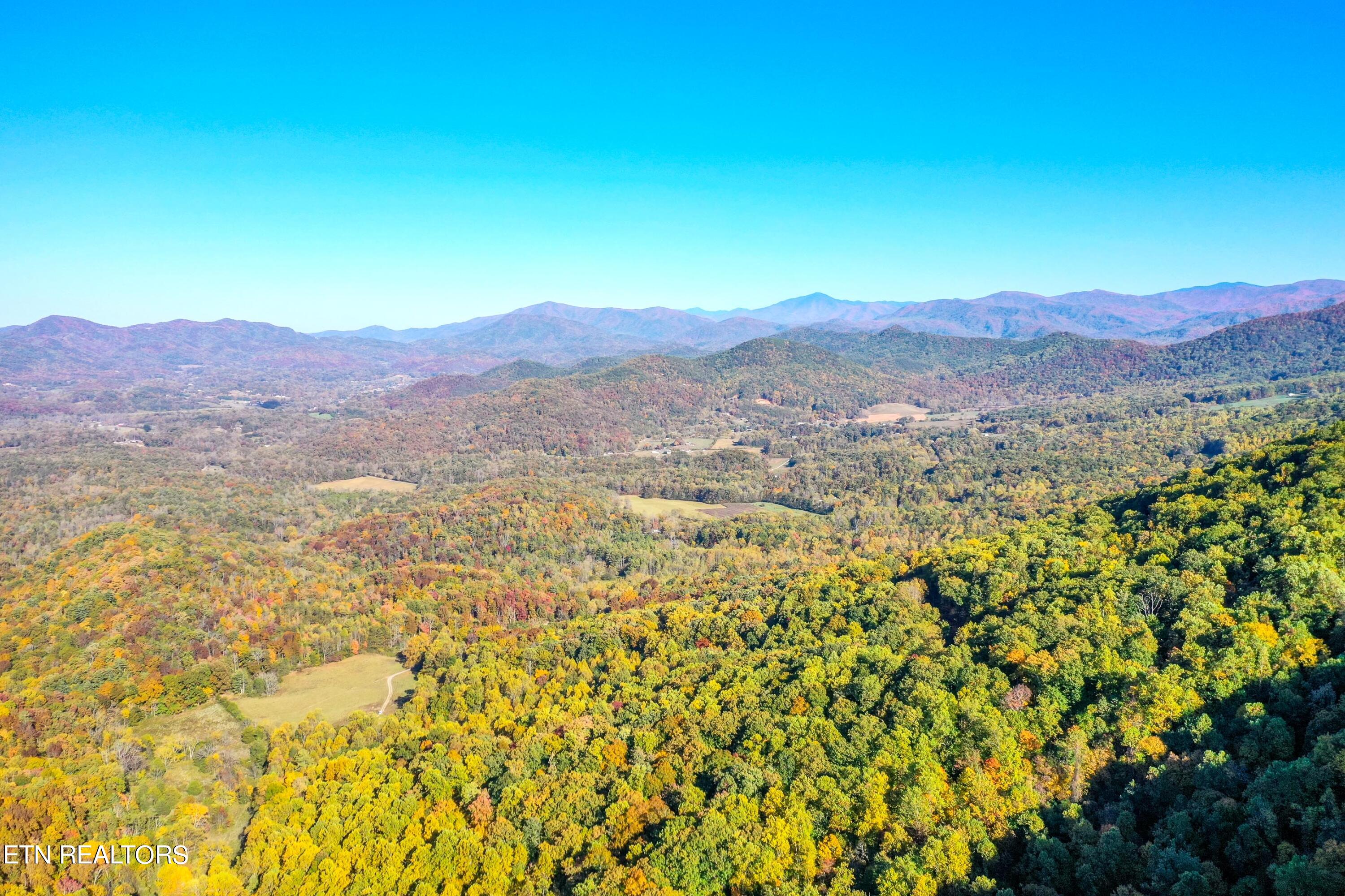 Camp Townsend Road Townsend, TN 37882 - Photo 6 of 25 DSC_8918-7