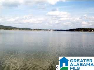Lakeridge Drive, Unit 4 Ashville, AL 35953 - Photo 5 of 19