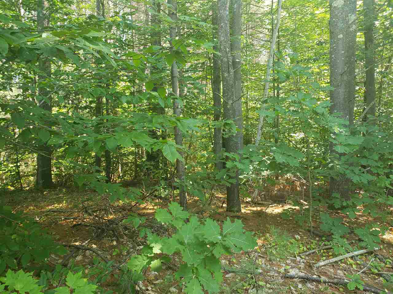 0 Echo Acres Road, Unit 22 North Conway, NH 03860 - Photo 1 of 3 Gallery Image 1