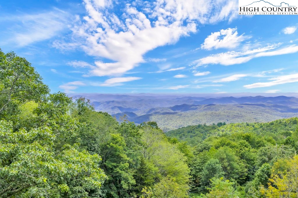 133 Wild Apple Drive Blowing Rock, NC 28605 - Photo 37 of 41