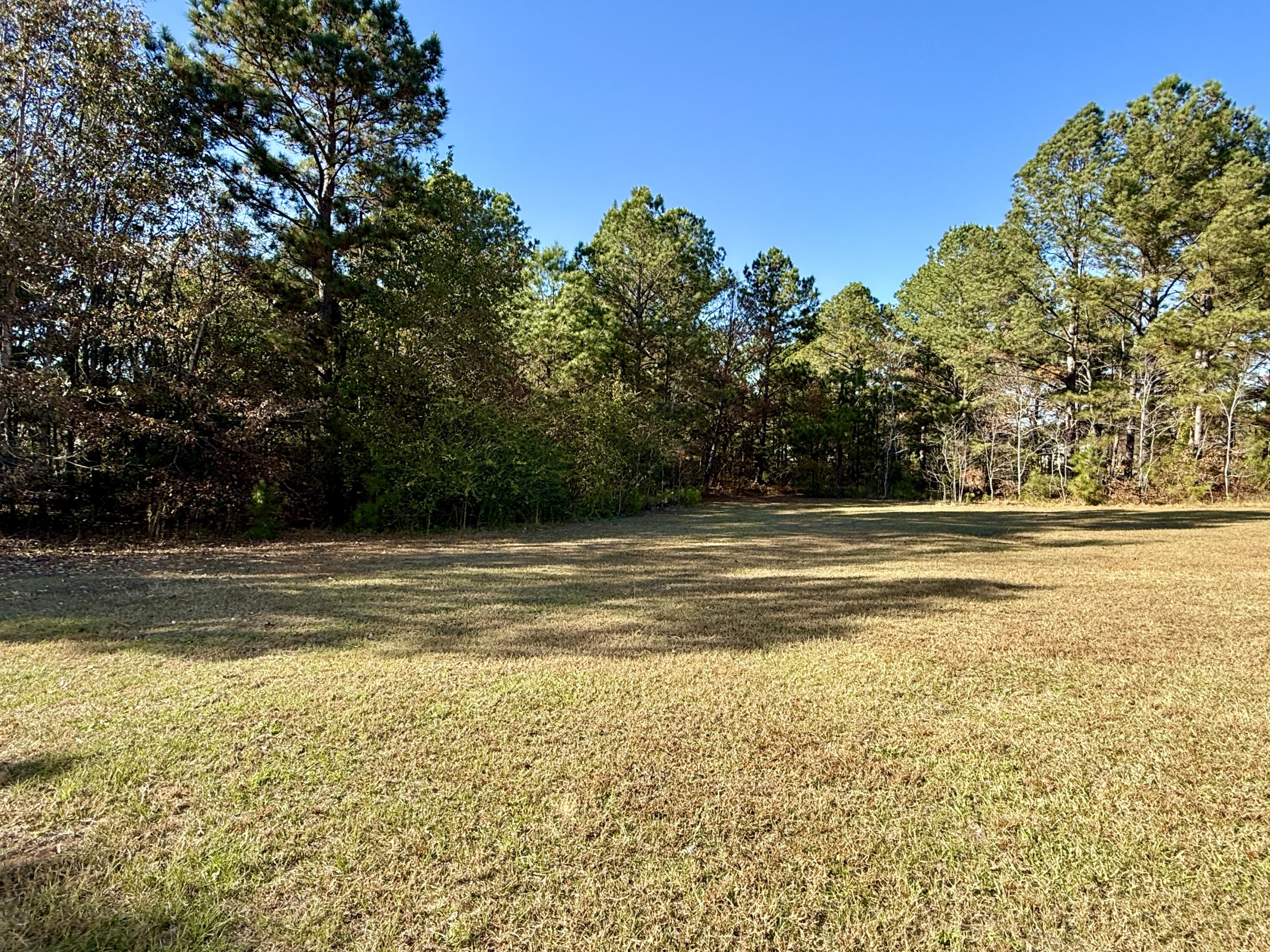 10199 Ga Highway Stapleton, GA 30823 - Photo 32 of 33 Back of the Property