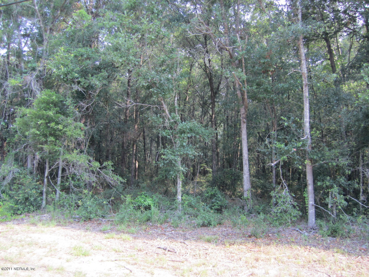 237 Branscomb Road Green Cove Springs, FL 32043 - Photo 1 of 3 Branscomb lot