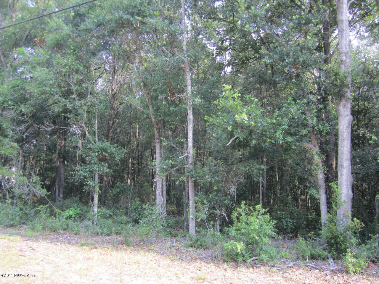 237 Branscomb Road Green Cove Springs, FL 32043 - Photo 2 of 3 Lot view 2