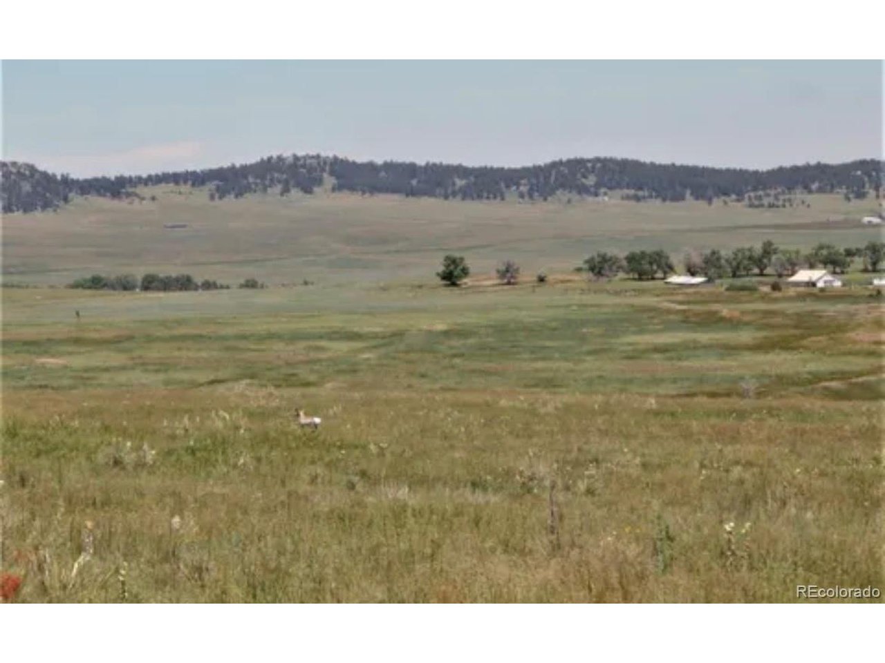 4 McClelland Road Peyton, CO 80831 - Photo 14 of 15