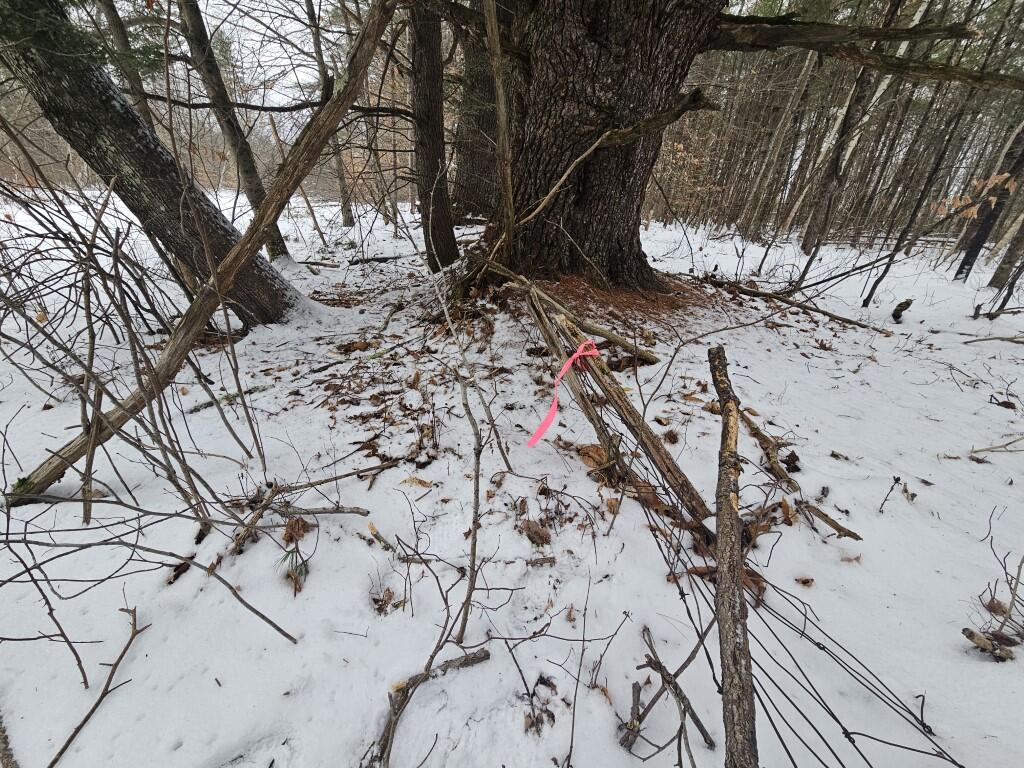 31 North Fryeburg Road Fryeburg, ME 04037 - Photo 24 of 28 24 Barb wire with fence post
