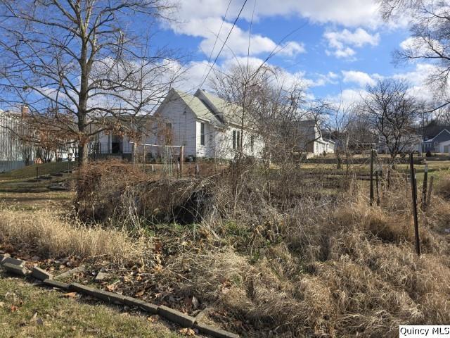 51 West 4th Street Dallas City, IL 62330 - Photo 19 of 25