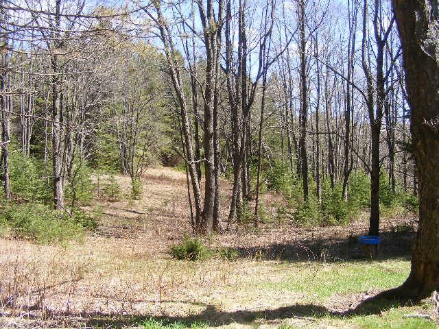 480 North 29 Road Cadillac, MI 49601 - Photo 19 of 36 1807637-18.JPG