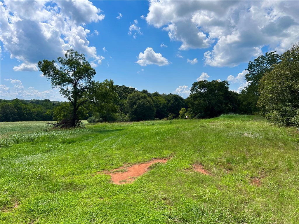 3824 Dobbins Bridge Road Anderson, SC 29626 - Photo 6 of 14