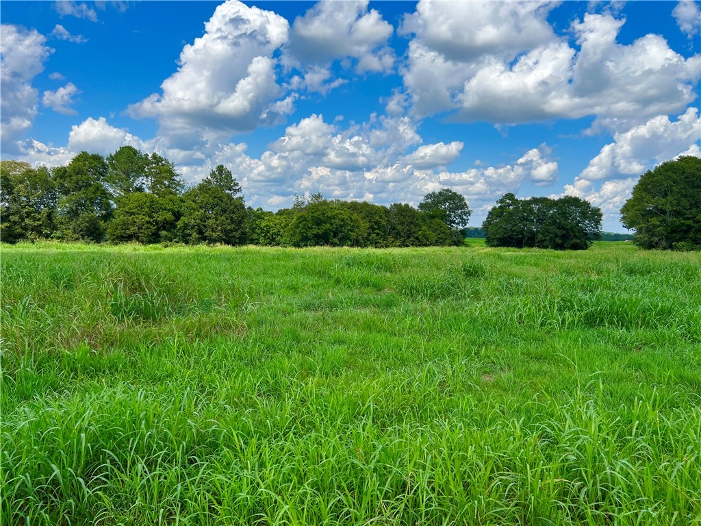3824 Dobbins Bridge Road Anderson, SC 29626 - Photo 7 of 14