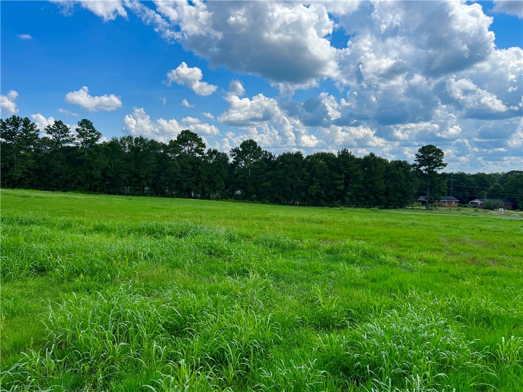 3824 Dobbins Bridge Road Anderson, SC 29626 - Photo 8 of 14