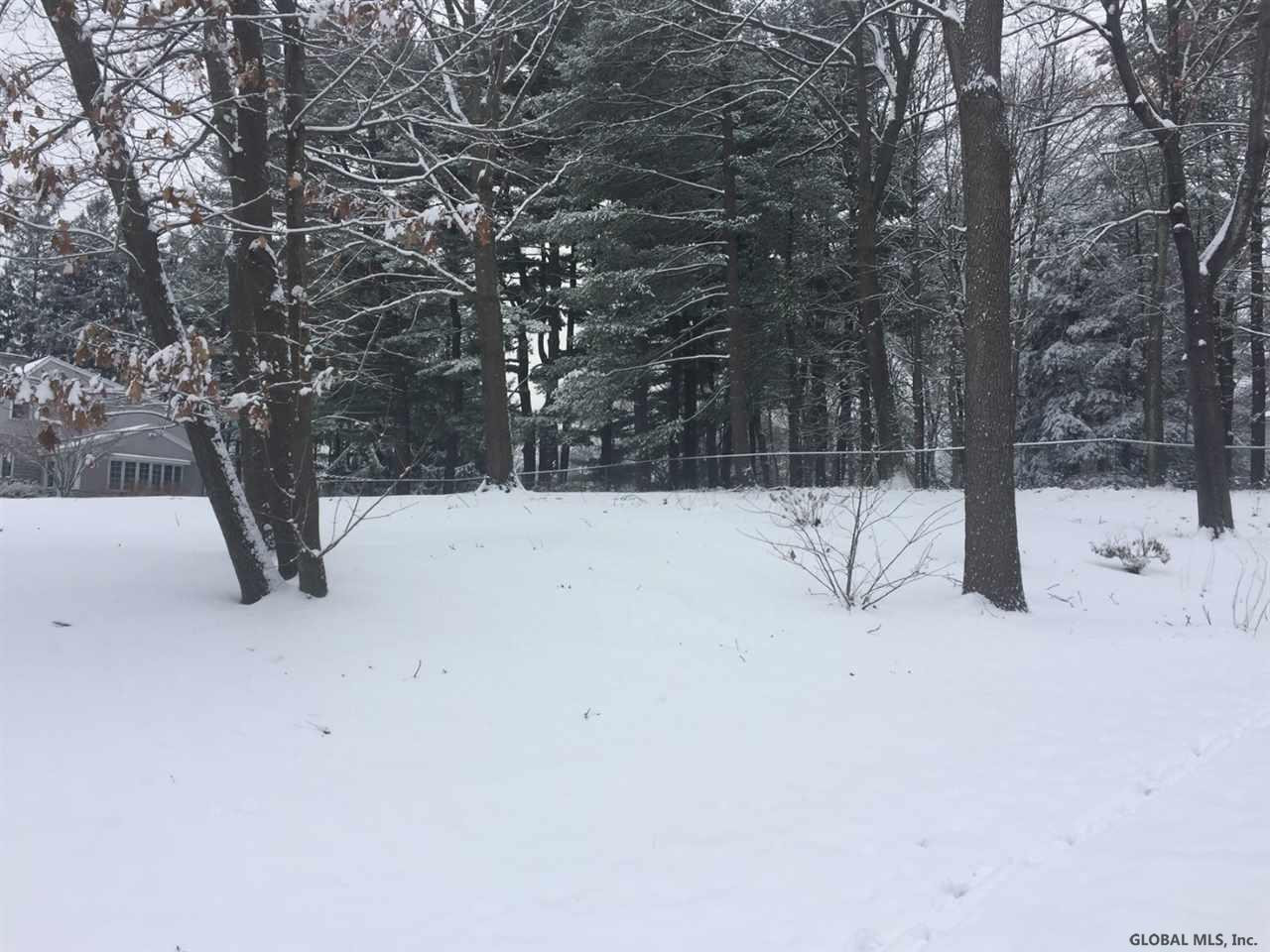 3 A Mohegan Road Niskayuna, NY 12309 - Photo 3 of 8 Photo 3