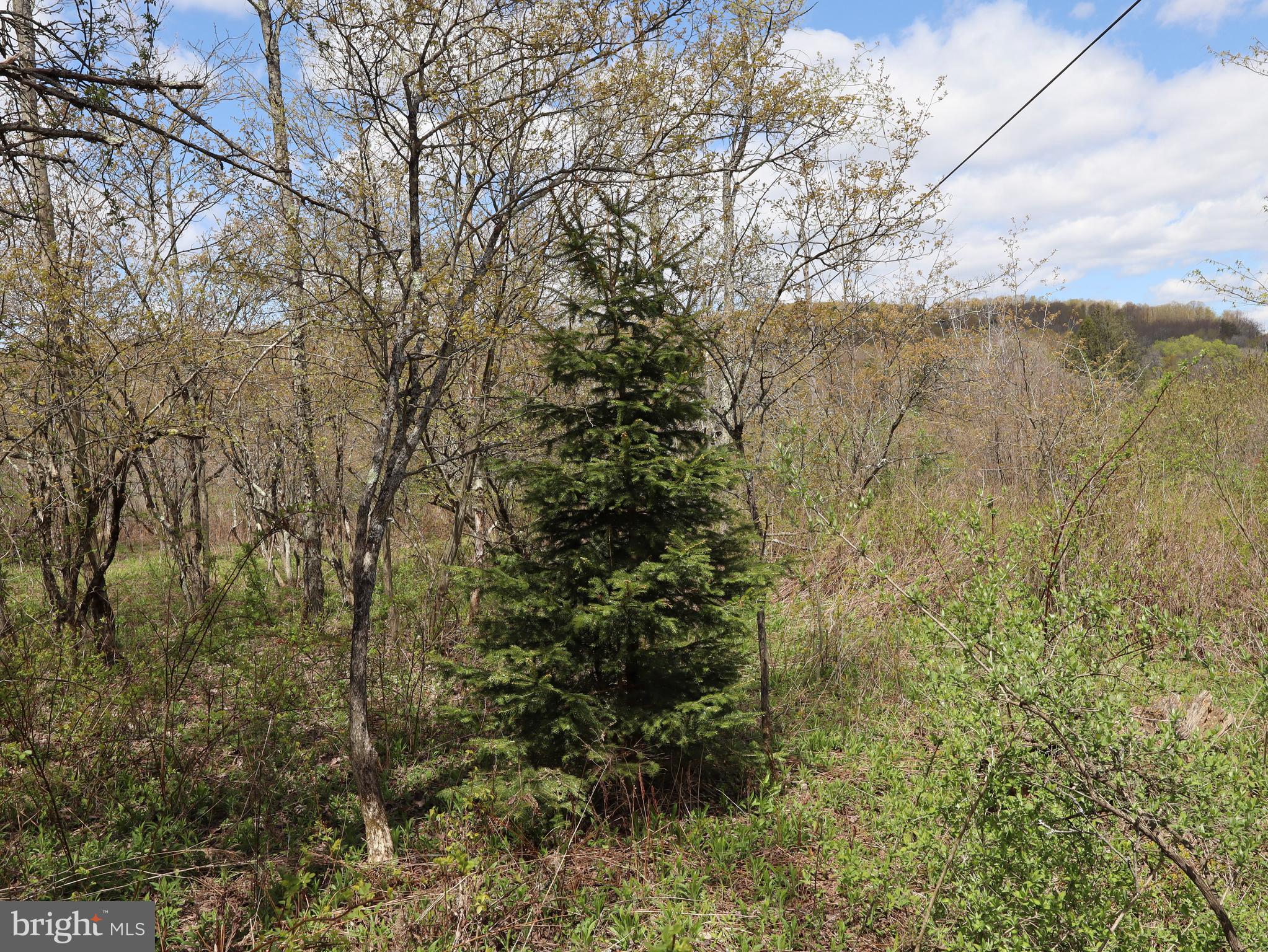 0 Holbrook Road Montrose, PA 18801 - Photo 73 of 147