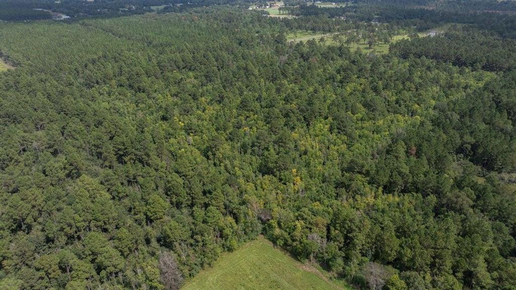 0 Little Happy Lane Deridder, LA 70634 - Photo 3 of 5