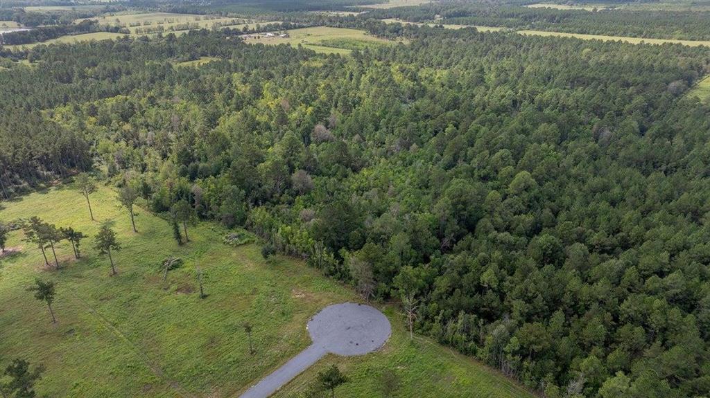 0 Little Happy Lane Deridder, LA 70634 - Photo 4 of 5
