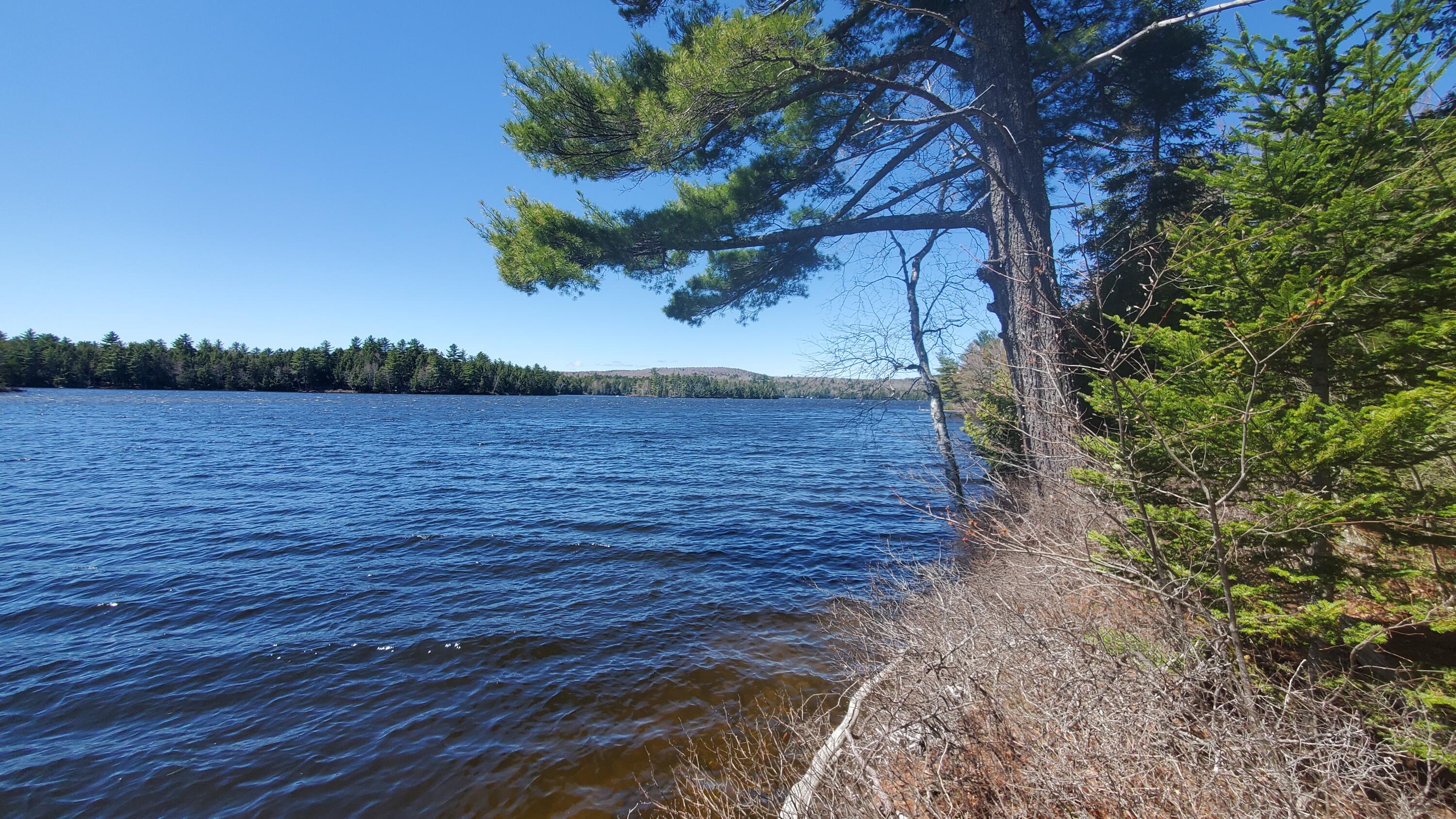 307 Lakeville Shores Road Lakeville, ME 04487 - Photo 34 of 39 20250430_113813
