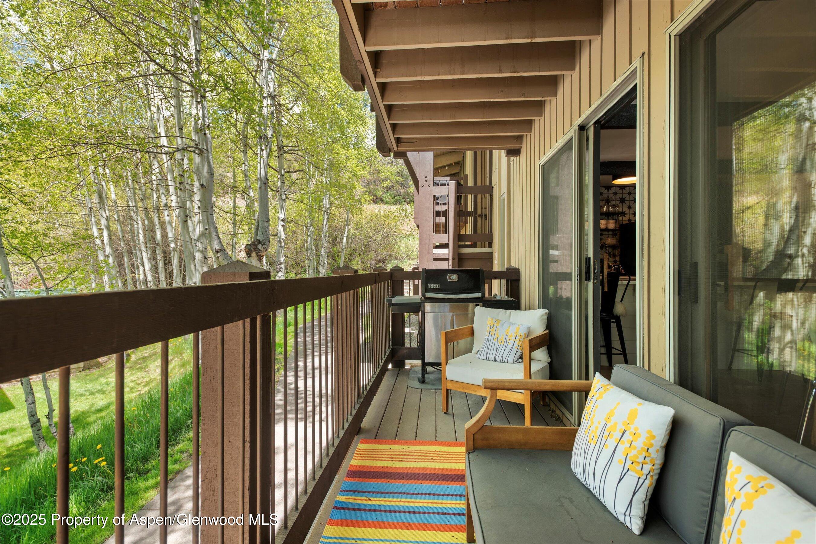 35 Upper Woodbridge Road, Unit 2A Snowmass Village, CO 81615 - Photo 21 of 29 11-35LowerWoodbridgeRd2a_250522011