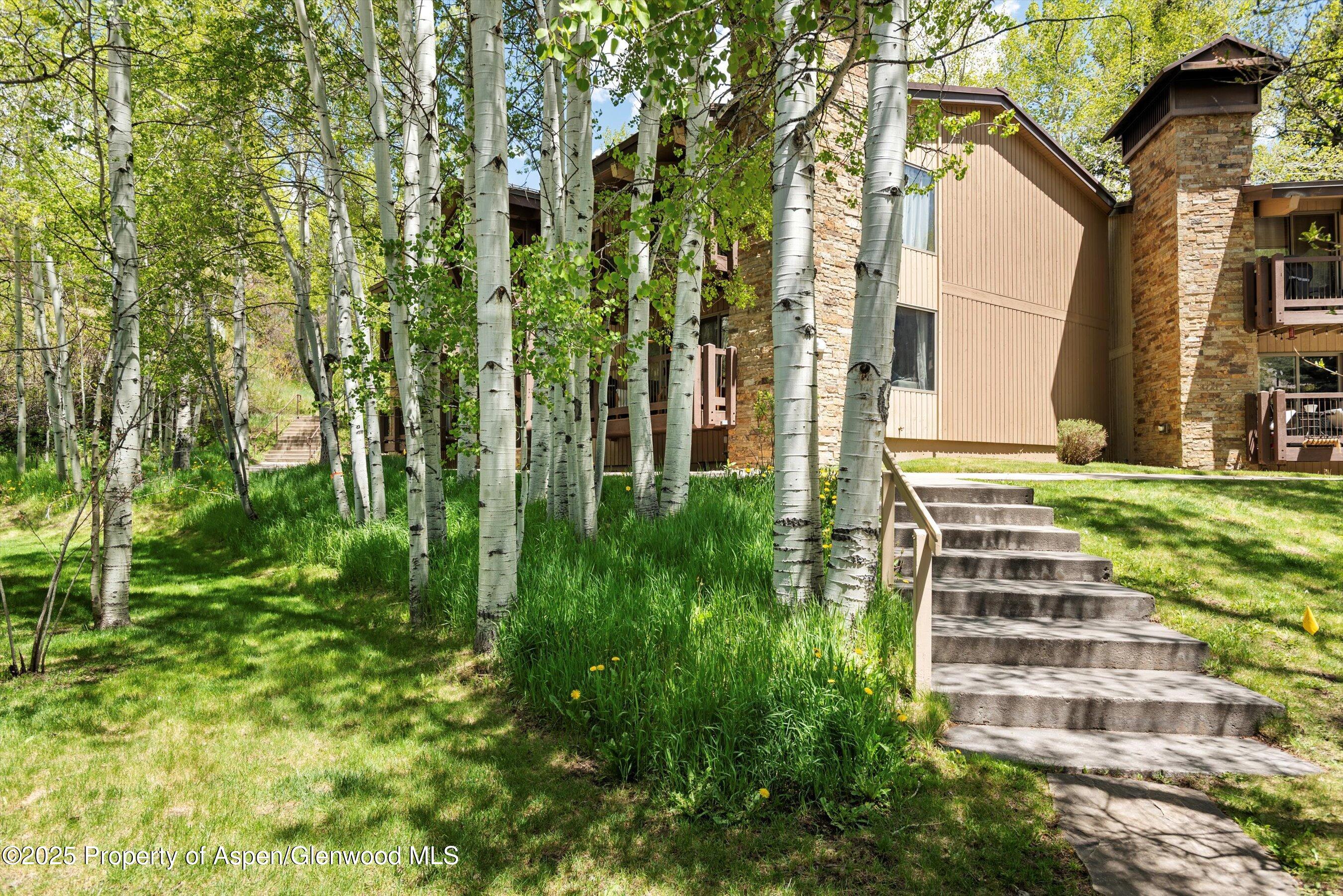 35 Upper Woodbridge Road, Unit 2A Snowmass Village, CO 81615 - Photo 23 of 29 a view of a yard with plants and large trees