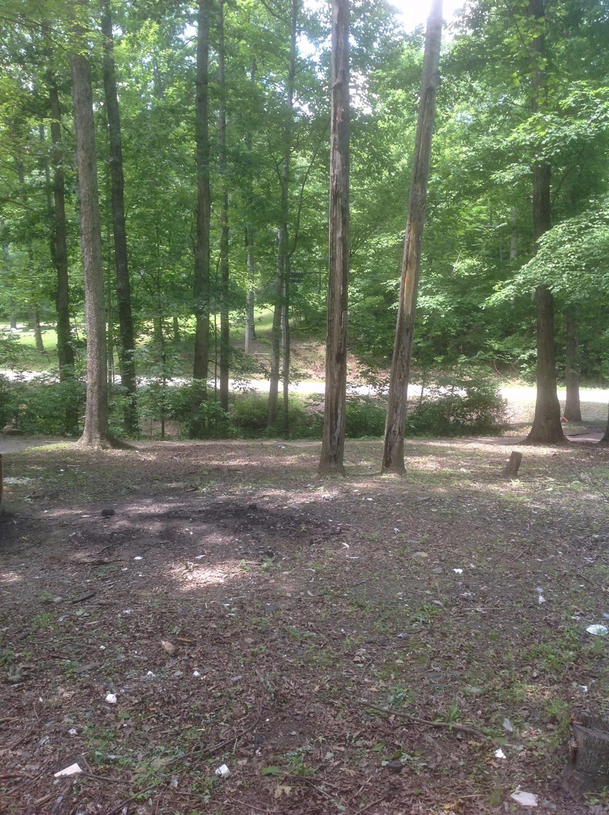 313 D & M Road McKee, KY 40447 - Photo 11 of 11 Photo 11