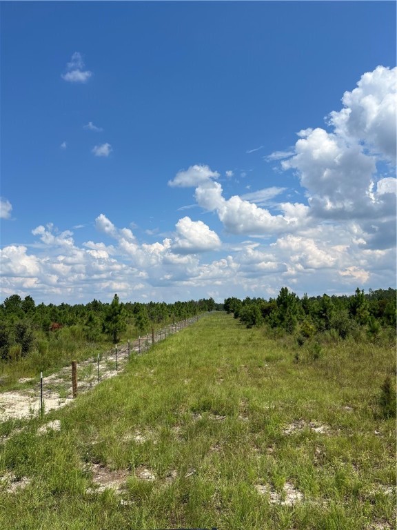 0 Hammond Powell Road Hinesville, GA 31313 - Photo 11 of 27