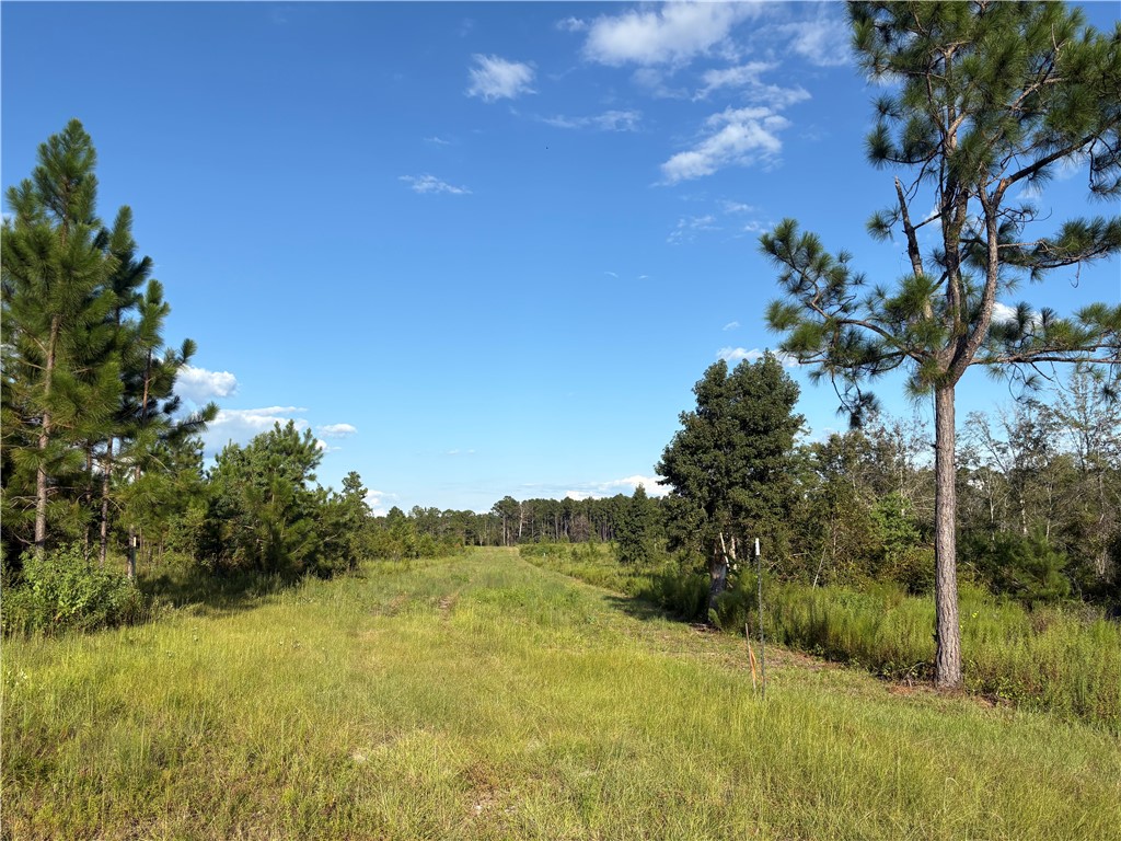 0 Hammond Powell Road Hinesville, GA 31313 - Photo 12 of 27