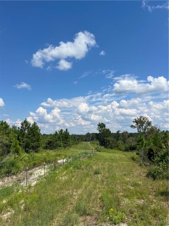 0 Hammond Powell Road Hinesville, GA 31313 - Photo 13 of 27