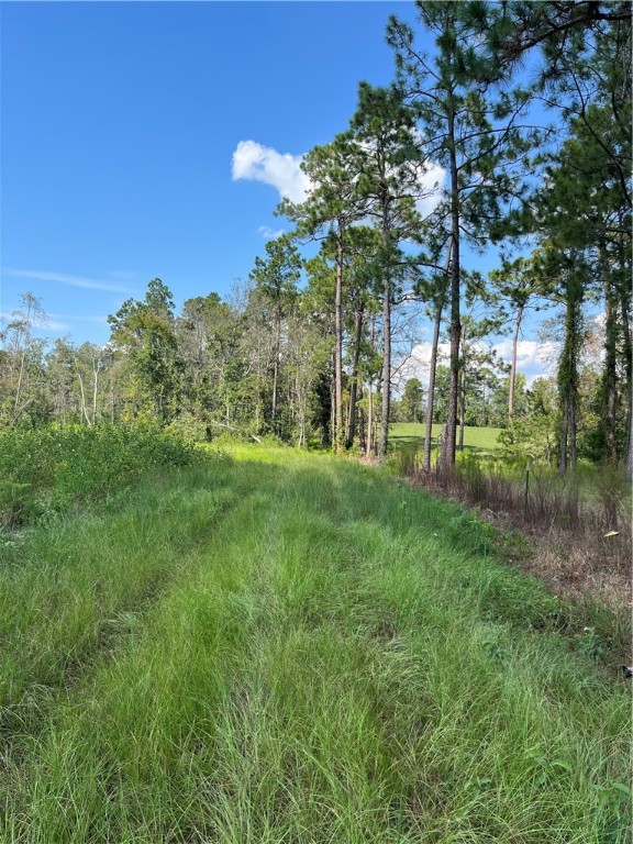 0 Hammond Powell Road Hinesville, GA 31313 - Photo 14 of 27