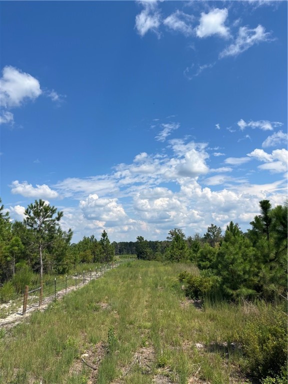 0 Hammond Powell Road Hinesville, GA 31313 - Photo 16 of 27