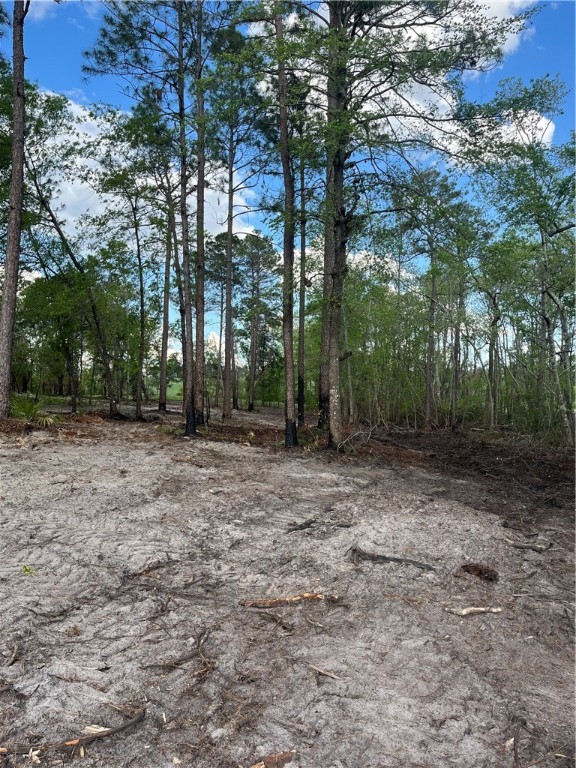 0 Hammond Powell Road Hinesville, GA 31313 - Photo 17 of 27