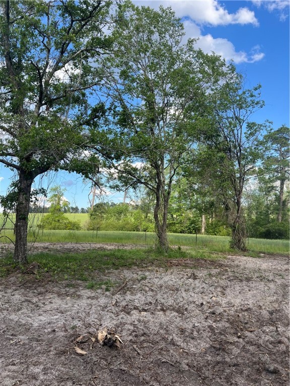 0 Hammond Powell Road Hinesville, GA 31313 - Photo 18 of 27