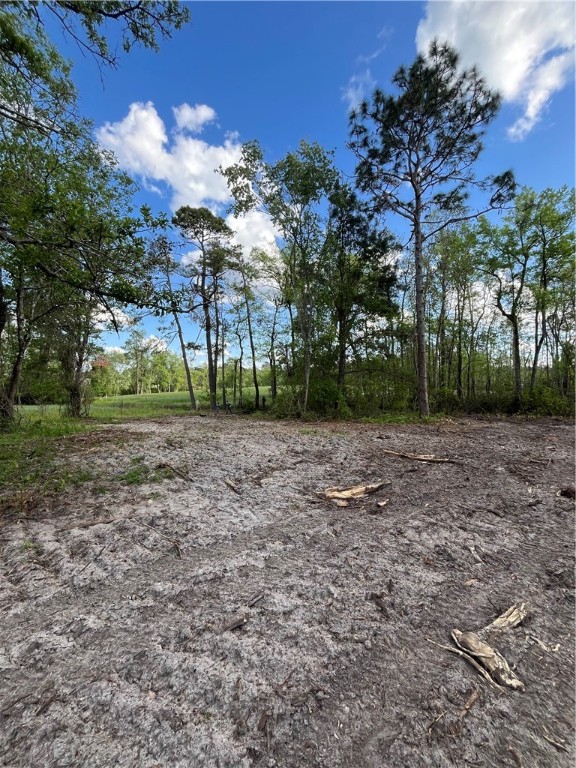 0 Hammond Powell Road Hinesville, GA 31313 - Photo 19 of 27