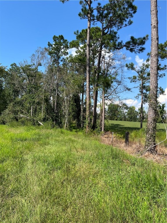 0 Hammond Powell Road Hinesville, GA 31313 - Photo 20 of 27