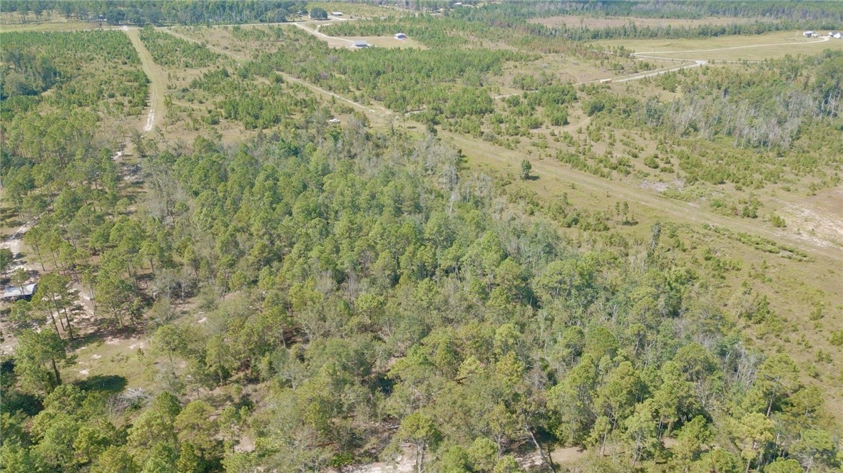 0 Hammond Powell Road Hinesville, GA 31313 - Photo 2 of 27