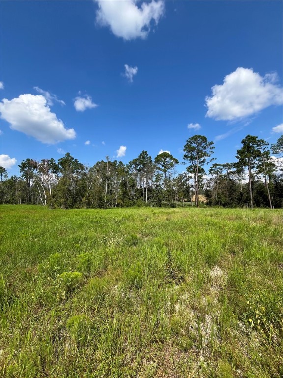 0 Hammond Powell Road Hinesville, GA 31313 - Photo 21 of 27