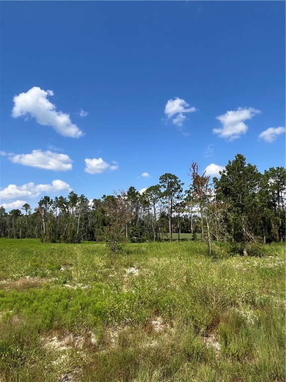 0 Hammond Powell Road Hinesville, GA 31313 - Photo 23 of 27