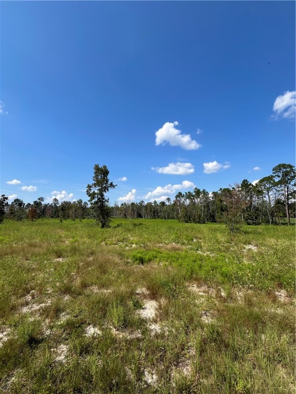 0 Hammond Powell Road Hinesville, GA 31313 - Photo 24 of 27