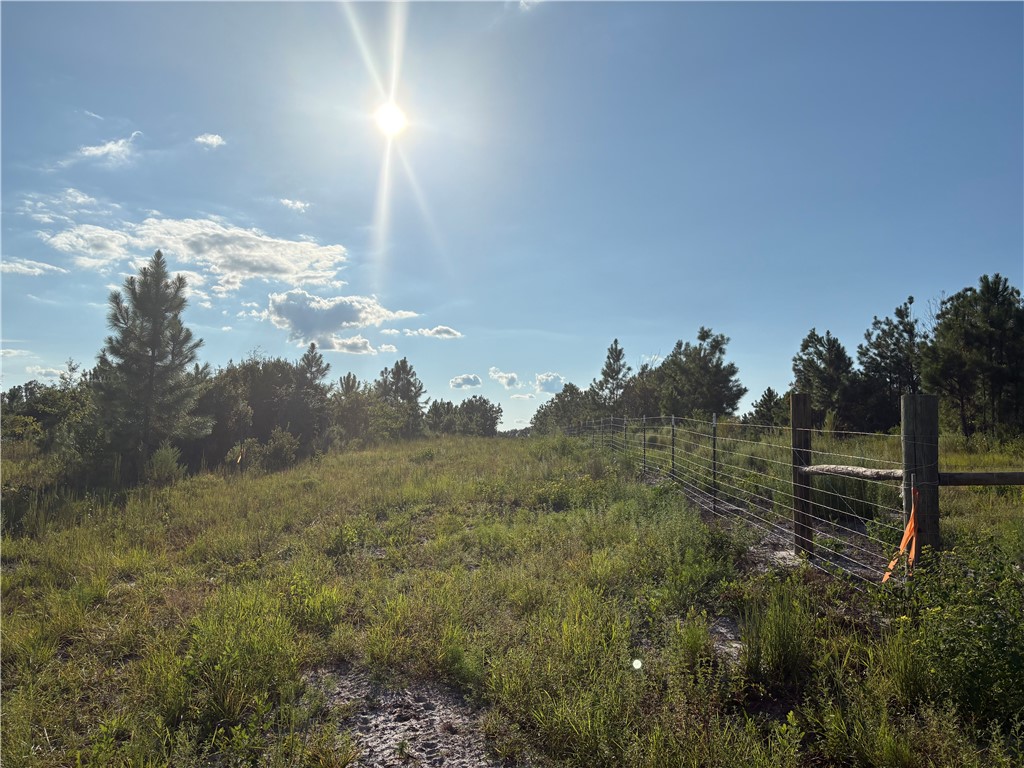 0 Hammond Powell Road Hinesville, GA 31313 - Photo 26 of 27