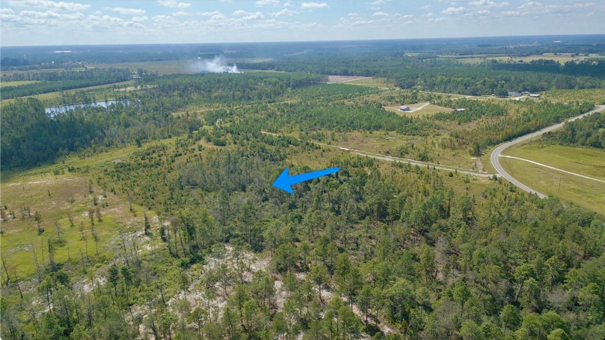 0 Hammond Powell Road Hinesville, GA 31313 - Photo 3 of 27