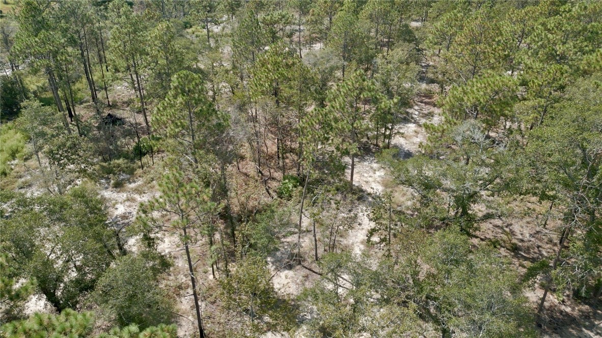 0 Hammond Powell Road Hinesville, GA 31313 - Photo 5 of 27