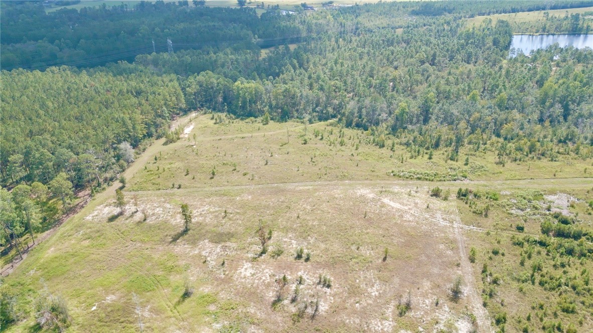 0 Hammond Powell Road Hinesville, GA 31313 - Photo 6 of 27