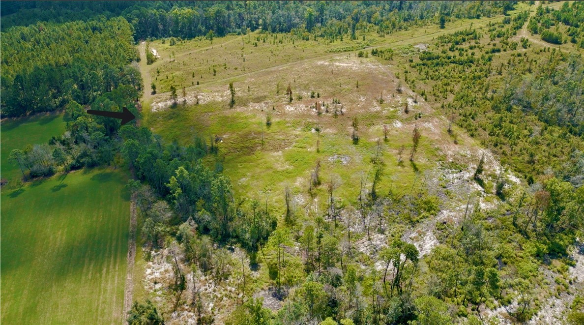 0 Hammond Powell Road Hinesville, GA 31313 - Photo 7 of 27